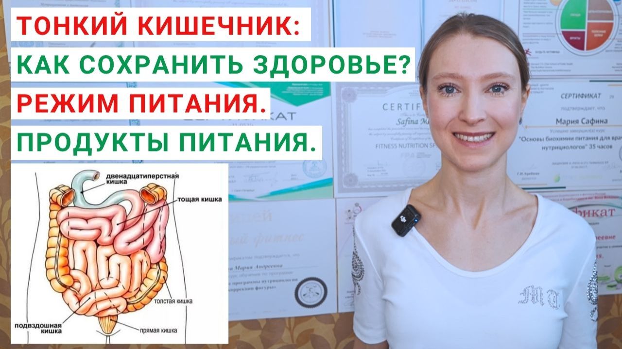 ТОНКИЙ КИШЕЧНИК: КАК СОХРАНИТЬ ЗДОРОВЬЕ? КАК ЕДА ВЛИЯЕТ НА КИШЕЧНИК? Функции кишечника. Микрофлора.