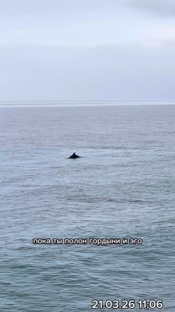 НА ВСЕ ВОЛЯ БОГА