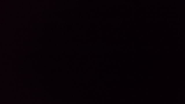 Белку ограбили...😿🙀😾