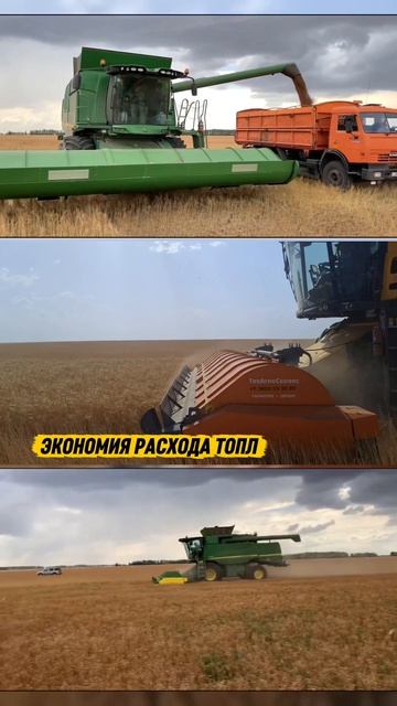 Идеальный фон для No-Till: высокая стерня.