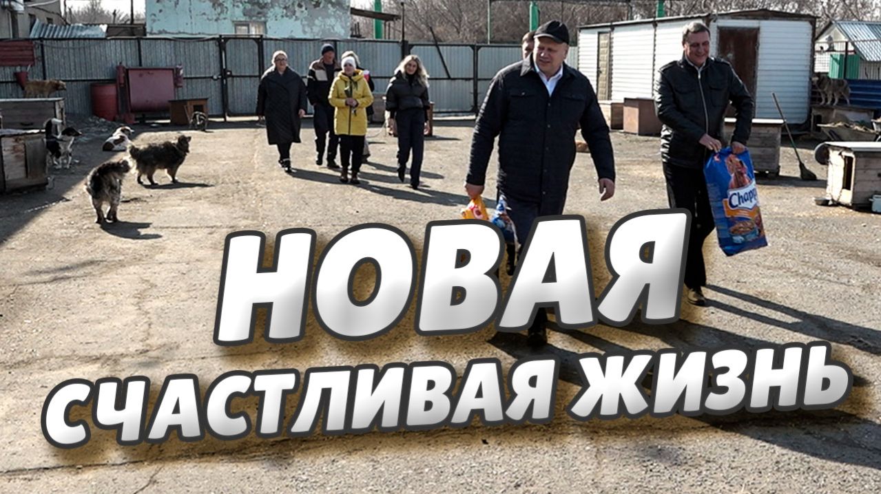 Сергей Шелест передал корма для собак в Муниципальный приют для животных