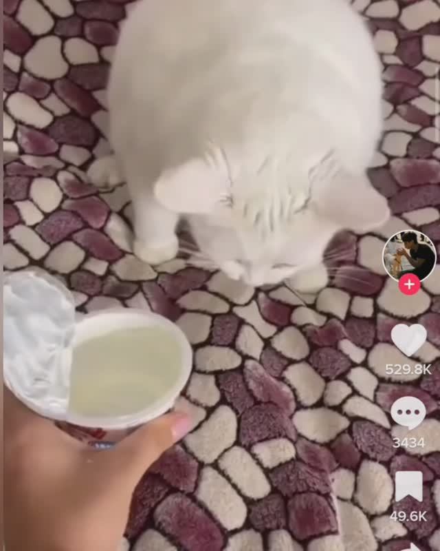 9047de2afcbaa67c39719fa0b9d173fa