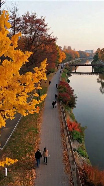 Осенние прогулки у реки #осень #пейзаж #природа