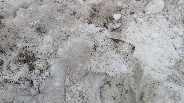 Я заболела 🫣           03-04-2026