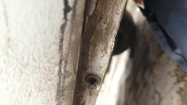 Замена топливного фильтра на пежо 408