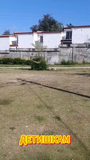 Домик в прикольном месте  #жизньнафилиппинах #филиппины