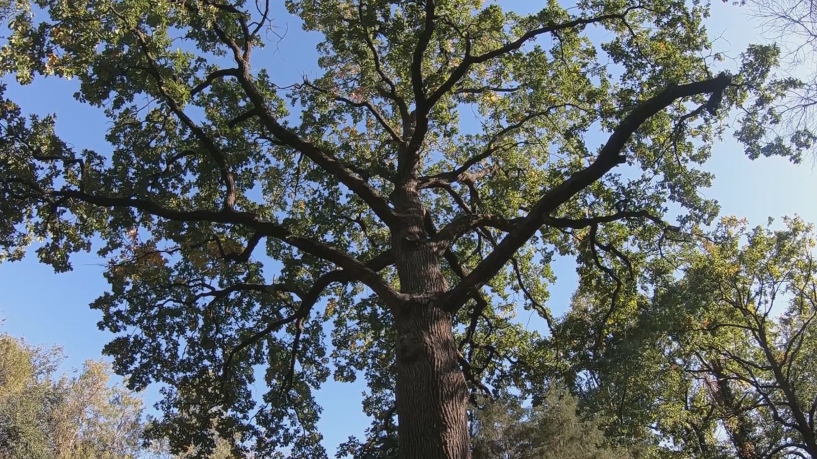 Поход 24 сентября 2025 г.