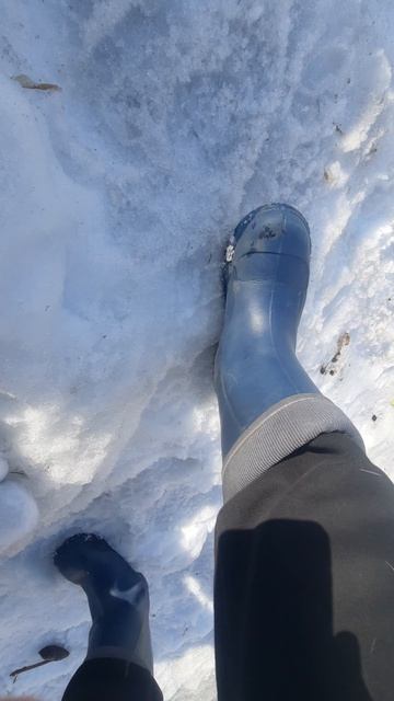 Рыбка 2 часть