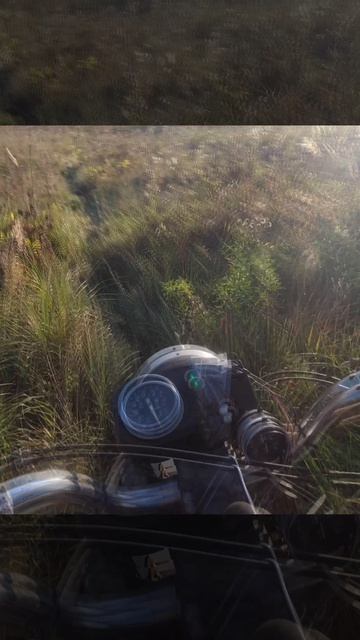 Восход 350 инжектор по пашне №277в