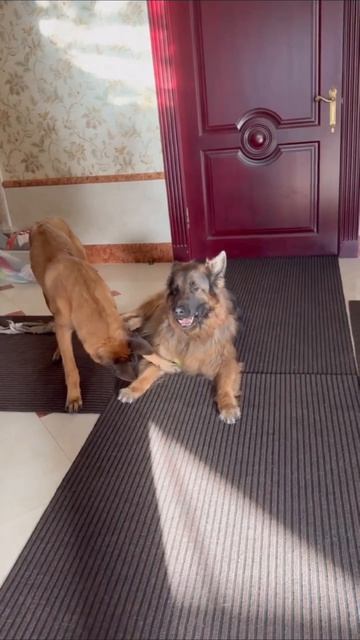 Кто то поверил в себя!