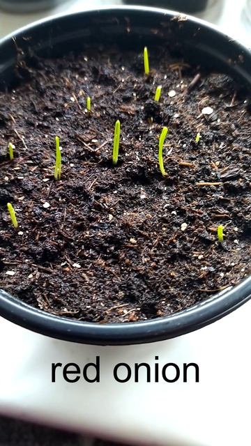 4c16033541113c5348e012786eaea66f