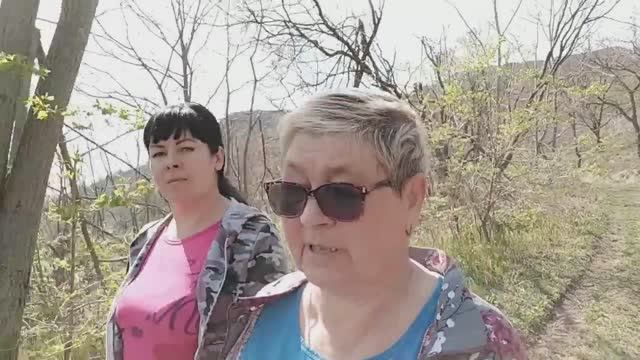 Милые котята /// Наша сопка - пошли  с дочерью за папоротником ///