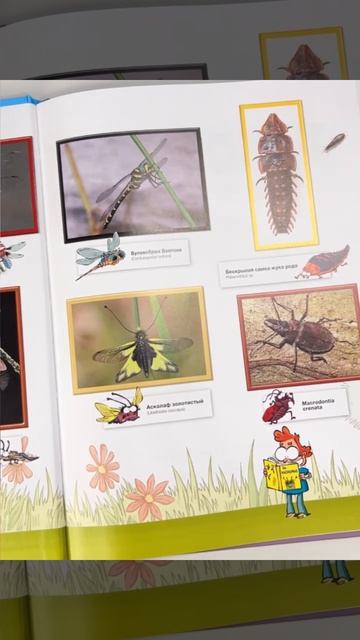 Михаил Хачатуров о 