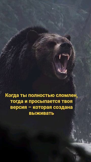 Инстинкт .. #психология #мотивация #жизненно #саморазвитие #осознанность #мысливслух #мышление