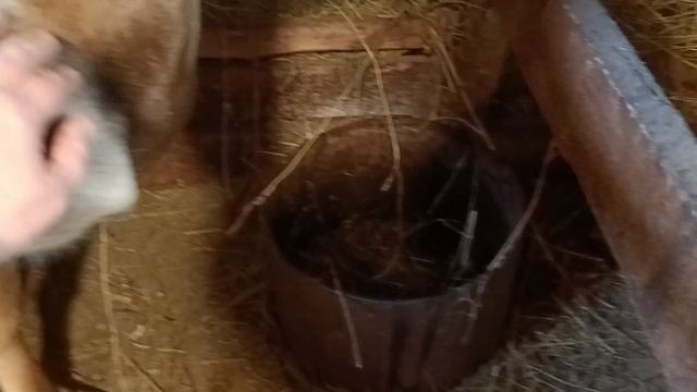 46f2538dd3d56cd9de5ad105fb9ce5d5