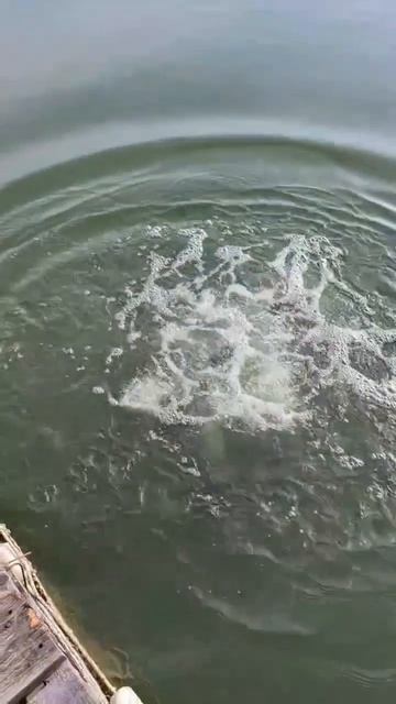 запуск03.04.mp4