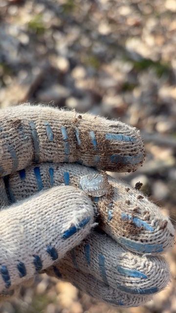 Нашел Чешуйку.