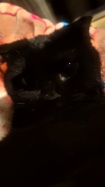 Зимняя депрессия или весеннее обострение 🫠😄