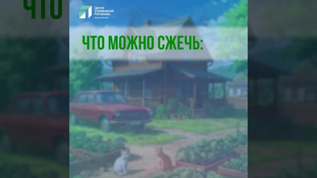 1 Правила сжигания -весна