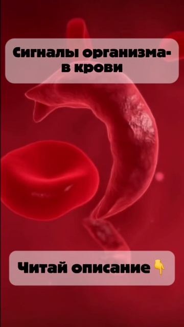 551607be19694c0b51400d11d12b82cb