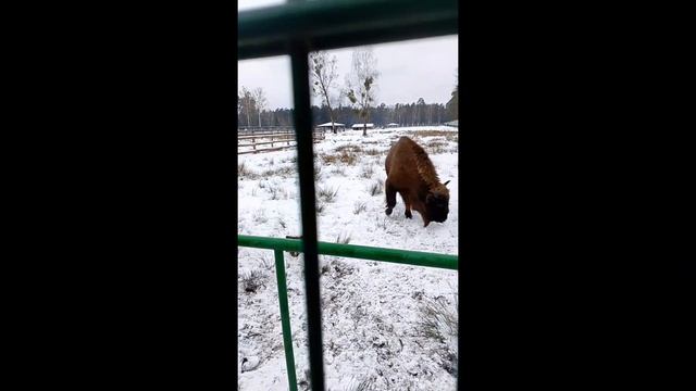 Беларусь зимой