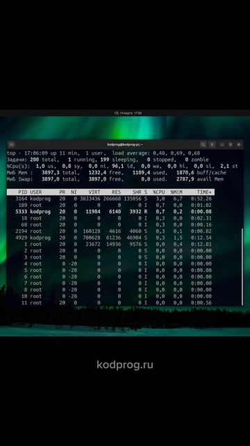 Секретная команда для проверки системы