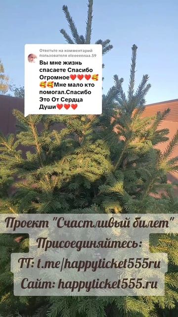 Из-за него я разрушаю себя!