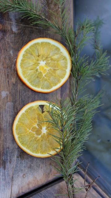 Каникулы #черемушки #загородный #отдых #весна #каникулы #башкортостан #сосны #пение #птицы #релакс