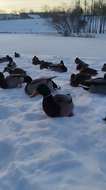 853622bb-d560-4f19-8ff9-ec08986b0138-1_all_7028.mp4