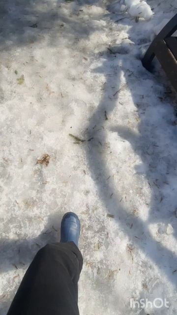 сборник: зима