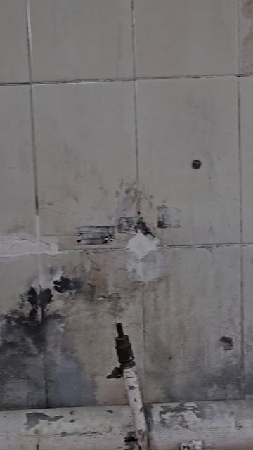 Даже интересно, чем этот эксперимент закончится)

Надеемся, завтра покрасим все полностью