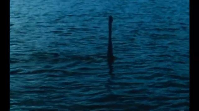 48260a76dc152643183a1583c534544f