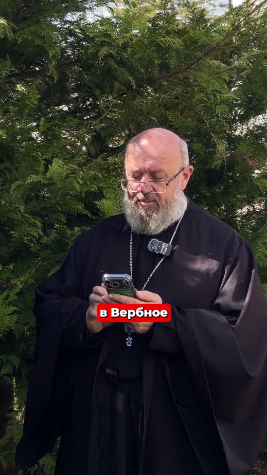 #религия #православие #вопросответ #шкиль #вербноевоскресенье #кладбище #поминки #долг  #насилие