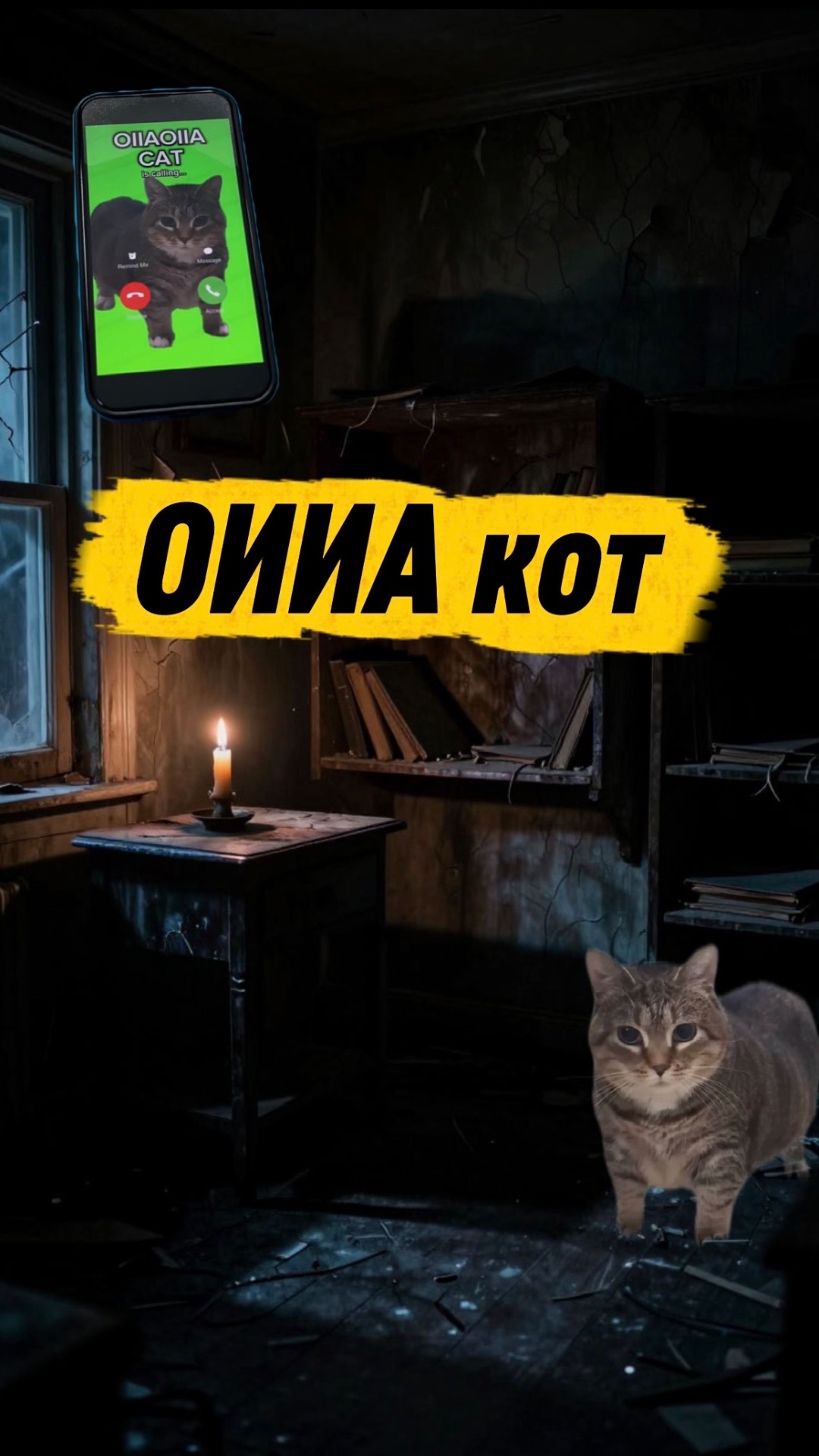 ОИИА КОТ В РЕАЛЬНОЙ ЖИЗНИ 🙀 #кот #кошка #котики #животные #ужасы #страшно #ужастик #оииа #оииакот