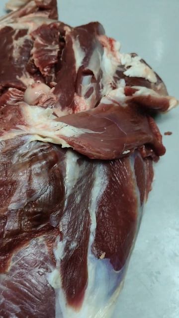 3946aedcf85ef7026989f85643ecd837