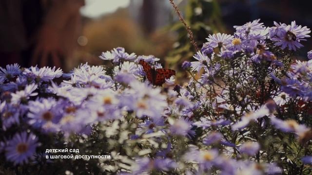 Корпоративный ролик о ЖК «Маяк Днепровской» (ООО «СЗ «ПРОЕКТ-С-44»), Приморский край. СПВ