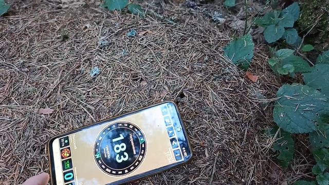 Как не надо ориентироваться в лесу и как надо