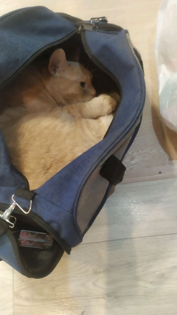 какяадиваюсь