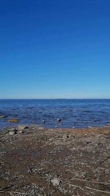 В суете, в ритме дел необходимых, зайди на Финский