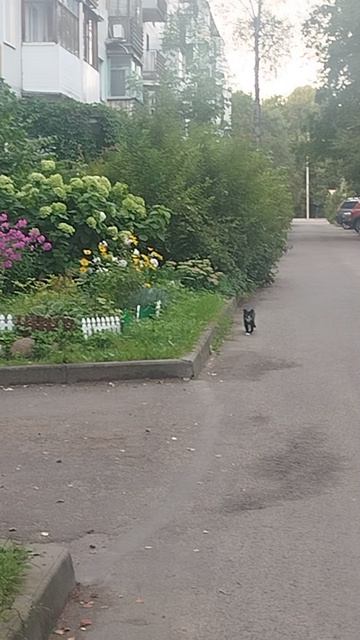 853622bb-d560-4f19-8ff9-ec08986b0138-1_all_4467.mp4