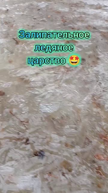 Ледяное царство