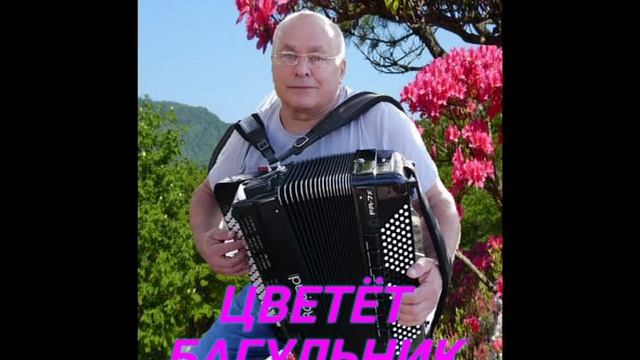 Александр Сысоев ЦВЕТЁТ БАГУЛЬНИК (авт.Ю.Алмазов )