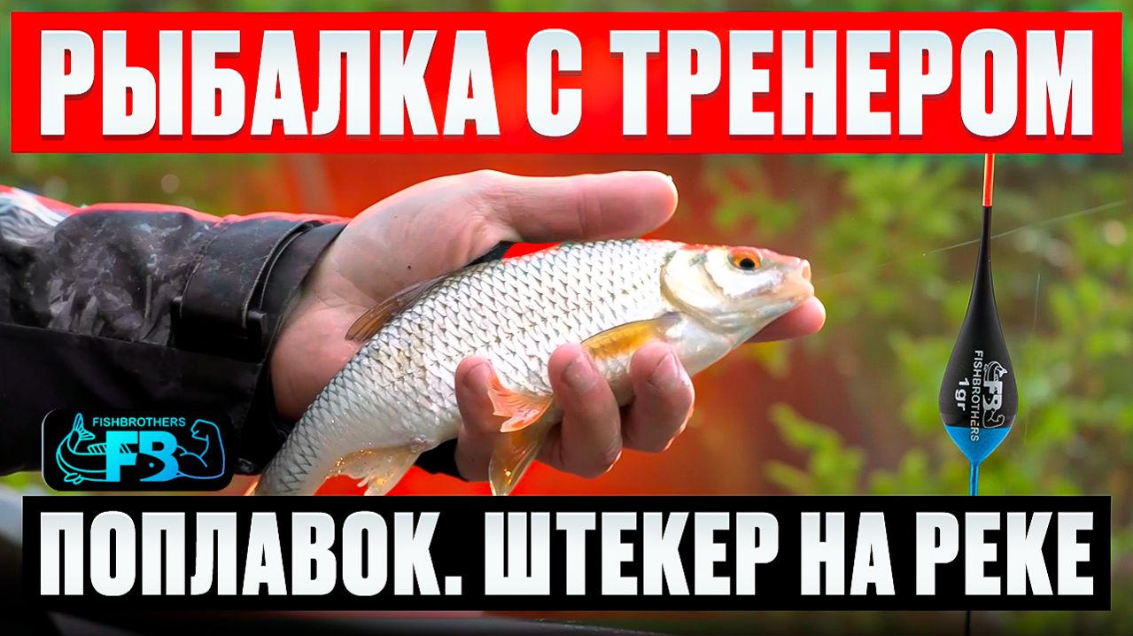 ЛОВЛЯ НА ШТЕКЕР, все нюансы ловли капризной рыбы на течении.