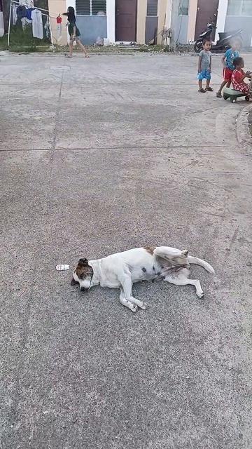 Мне уже этот мир абсолютно понятен  #жизньнафилиппинах  #семьявместе  #филиппины