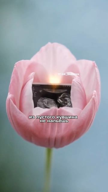 Зачем готовиться к беременности  если я здорова