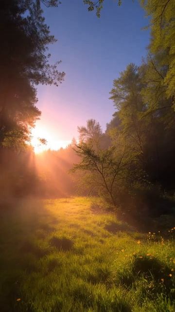 Магия природы😍
