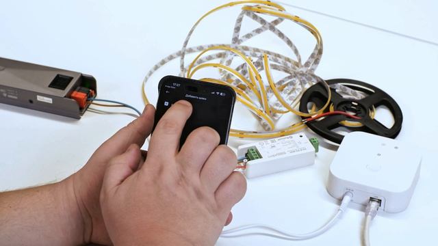 Алиса шлюз Коробанов обзор+