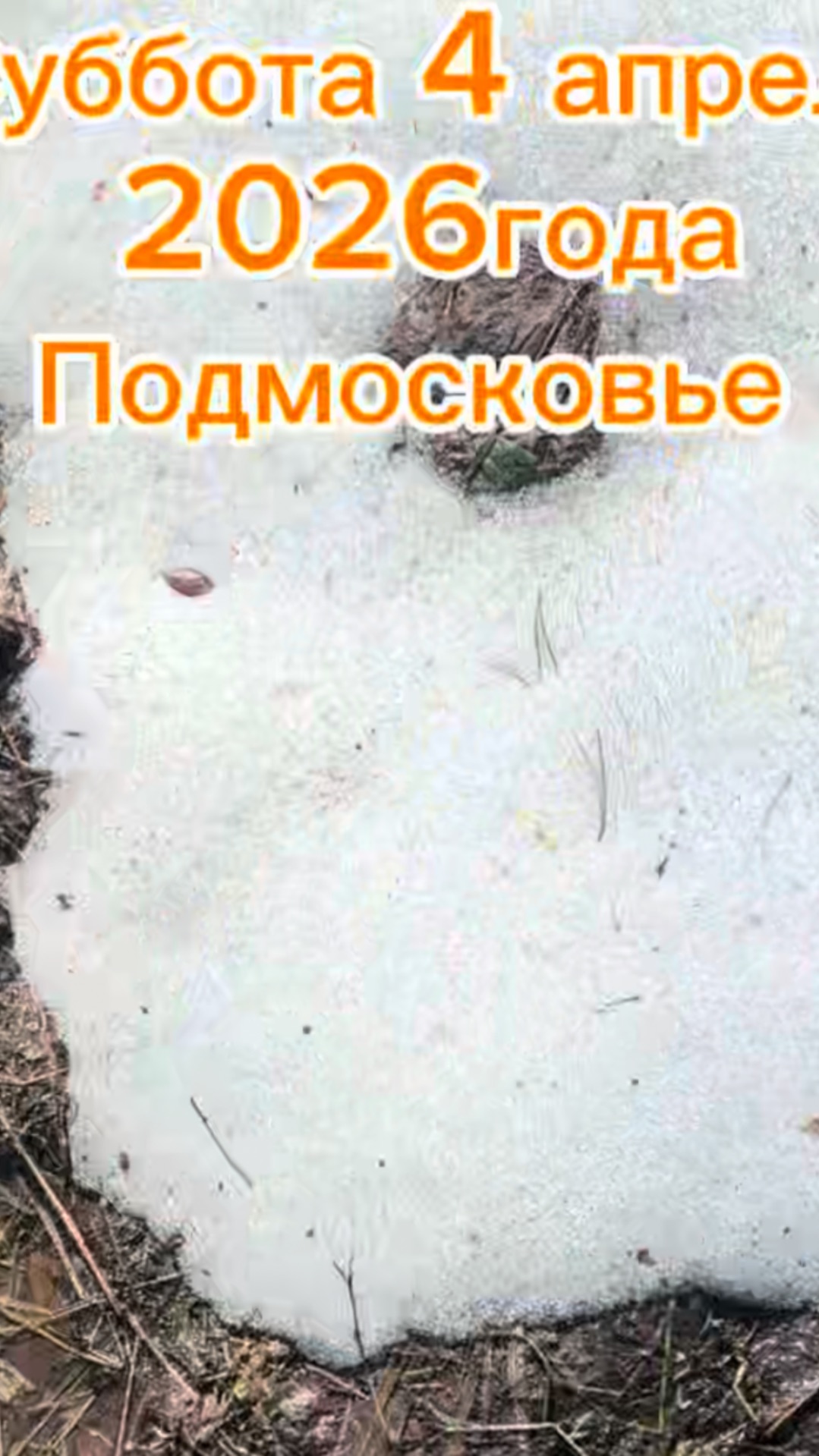 4 апреля 2026 года,Подмосковье