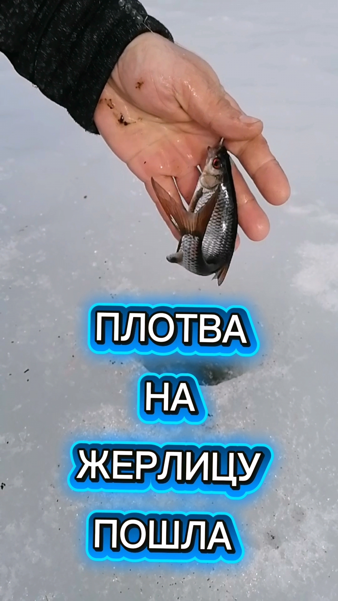 БОДРАЯ ПОКЛЕВКА!КЛЁВ ТОЛЬКО НАЧИНАЕТСЯ! #рыбалка #рыбалканаозере #fishing #рекомендации #recommended