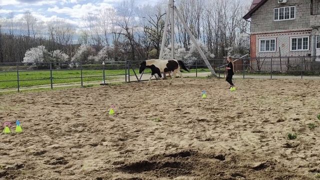 Проштрафился